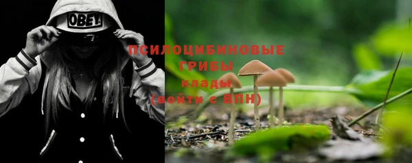 меф Кинешма